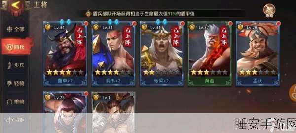 乱轰三国志新手攻略,顶级阵容搭配与制胜策略揭秘