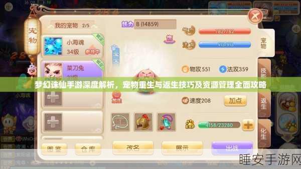 诛仙手游宠物飞升深度解析,解锁条件、资源管理秘籍及飞升大赛详解