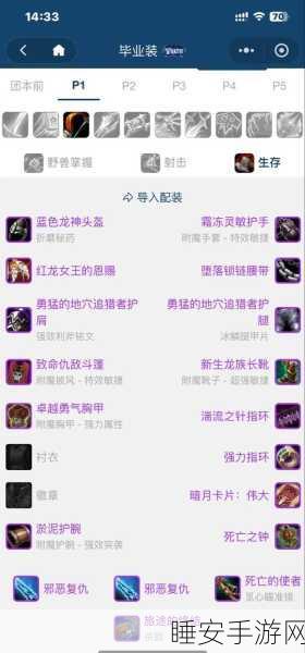 怀旧服猎人武器指南,魔兽世界猎人顶尖装备选择揭秘