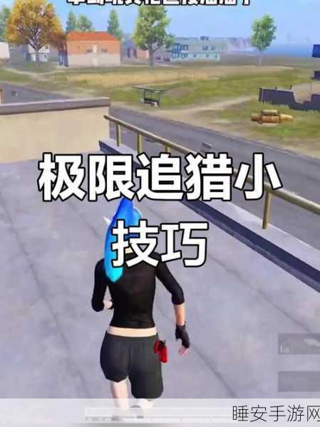 和平精英极限追猎赛,揭秘冠军之路的夺冠秘籍与精彩瞬间
