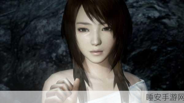 零濡鸦之巫女中文版,Wii U正版主机玩家能否畅享?