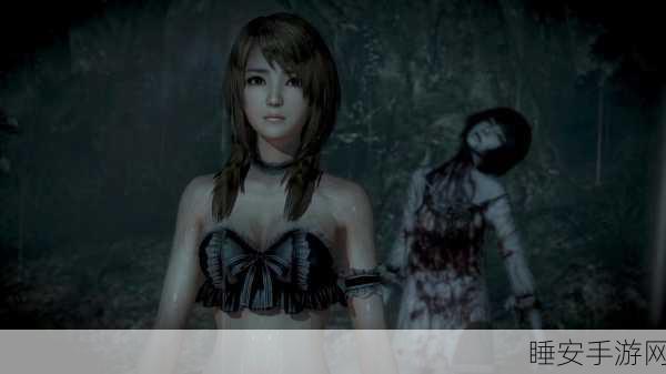 零濡鸦之巫女中文版,Wii U正版主机玩家能否畅享?