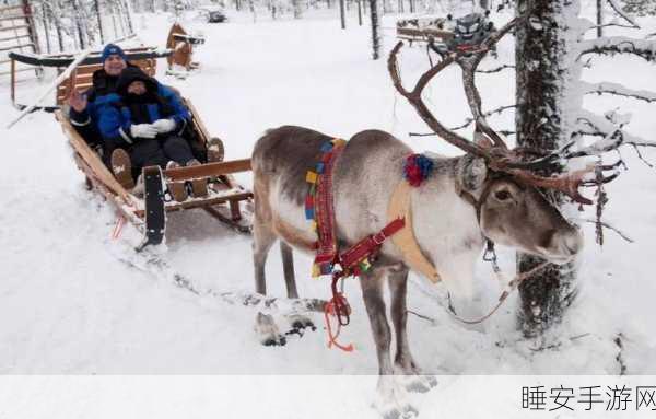 驯鹿雪橇飞驰冰原,冰原守卫者驯鹿雪橇全攻略解析