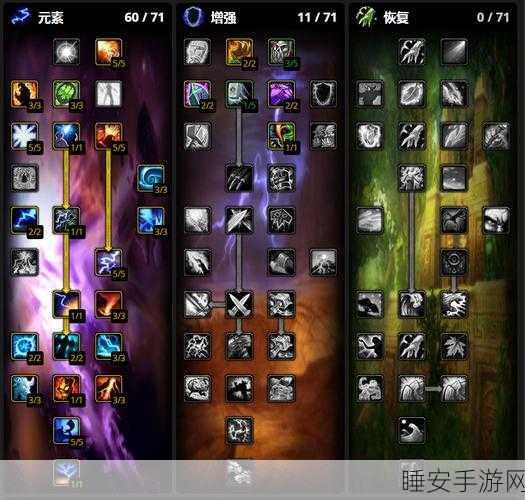 WLK元素萨属性优先级深度剖析,竞技场实战技巧与属性搭配策略