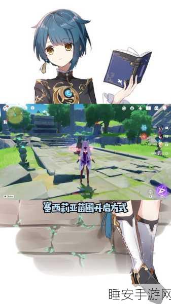 揭秘原神塞西莉亚苗圃,终极风之灵寻觅攻略
