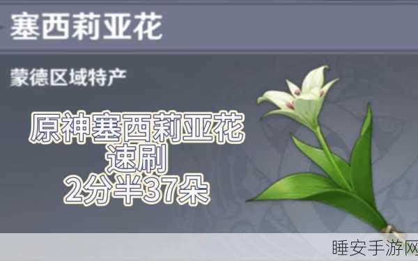 揭秘原神塞西莉亚苗圃,终极风之灵寻觅攻略