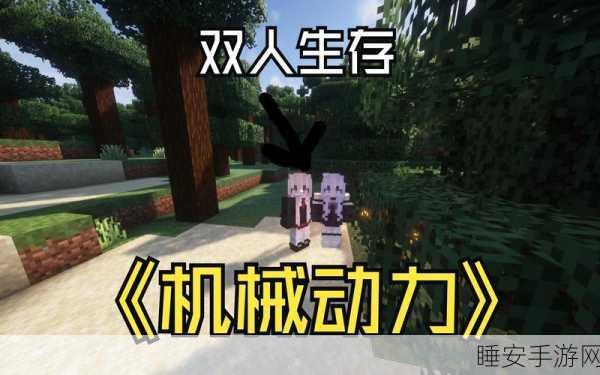 我的世界手游双人生存攻略，携手共建，探险无限