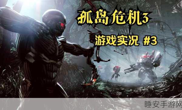 孤岛惊魂3黑屏故障大揭秘,原因剖析与实战解决攻略