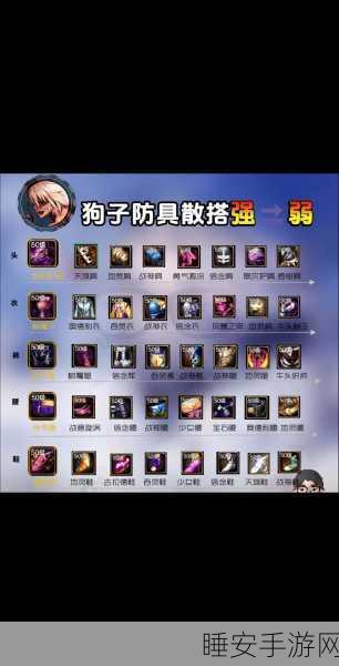 DNF手游职业攻略，揭秘弩武器最强驾驭者，精准射击称霸阿拉德