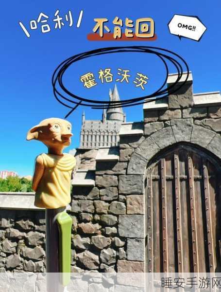 霍格沃茨之遗，揭秘不可饶恕咒的禁忌学习之道
