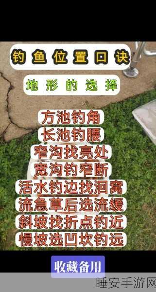 手游攻略,神都夜行录钓鱼技巧大揭秘