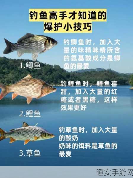 手游攻略,神都夜行录钓鱼技巧大揭秘