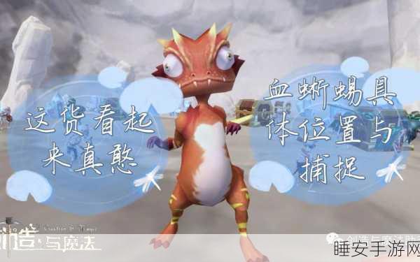 揭秘创造与魔法,血蜥蜴高效捕捉全攻略及稀有出现地点