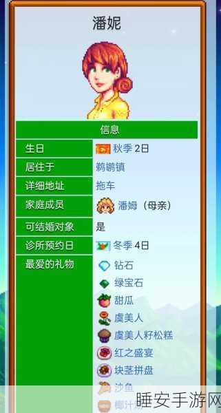 星露谷物语深度探索，揭秘潘姆隐秘居所的奇妙之旅