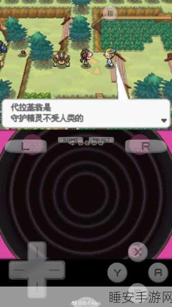 口袋妖怪黑白,深度解析道馆挑战赛,揭秘成为顶尖训练师的修炼之路