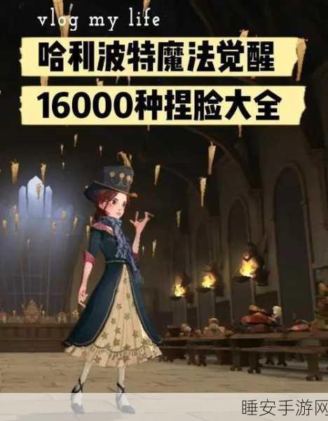 哈利波特，魔法觉醒地精学院全攻略，解锁隐藏关卡秘籍！