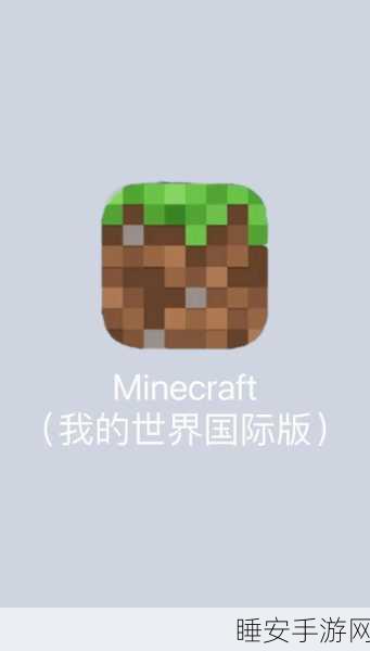 我的世界肥滋版，开启奇幻冒险，探索无尽乐趣的创意之旅