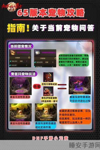 DNF超值攻略，低成本解锁20大热门宠物全盘点