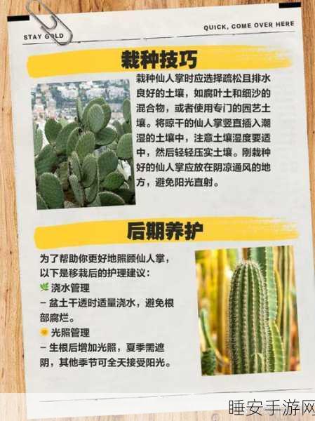 稀有植物搜集指南，创造吧！我们的星球珍稀绿植获取全攻略