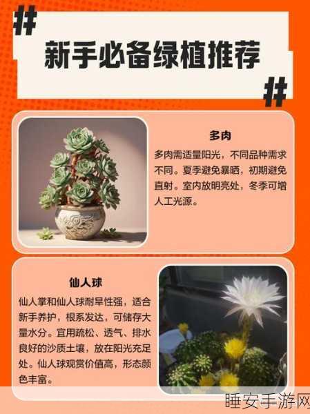 稀有植物搜集指南,创造吧!我们的星球珍稀绿植获取全攻略