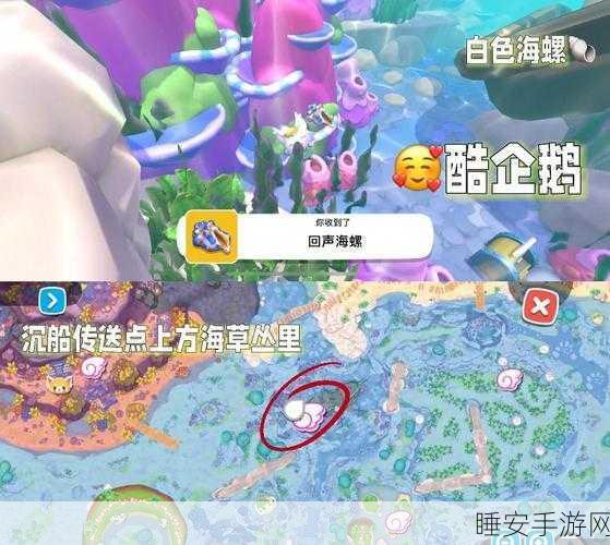 原神回声海螺全攻略,寻觅与获取秘籍大公开