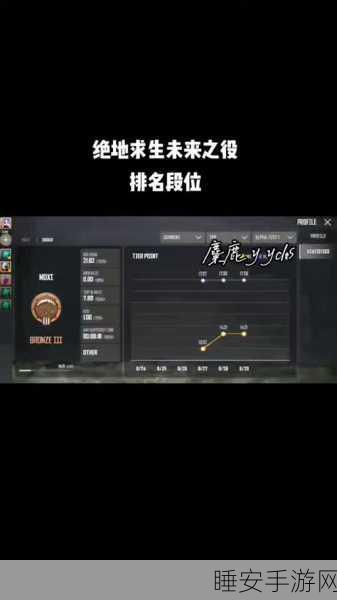 绝地求生竞技模式，段位晋升之路全揭秘，解锁高手秘籍！