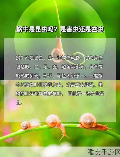 揭秘最强蜗牛科技类绿色贵重物品，解锁游戏新境界