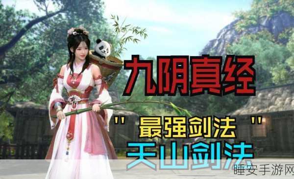 九阴真经决战光明顶，踏雪无痕尽显真功夫，天山之巅共筑武侠梦想传奇
