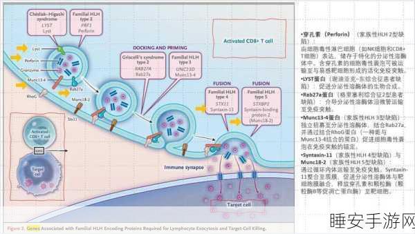 重生细胞抱腿兽高效获取及实战运用全攻略