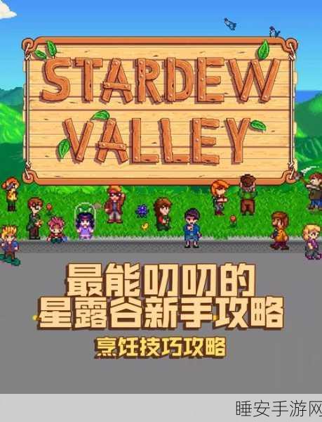 星露谷物语深度揭秘,独家龙虾浓汤食谱与烹饪大赛秘籍