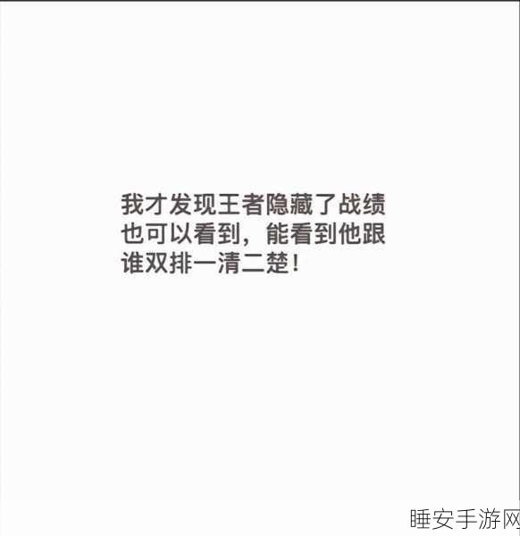 王者荣耀高手秘籍,巧妙隐藏战绩,守护你的游戏隐私