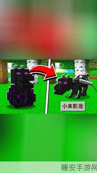 揭秘我的世界手机版,末影龙蛋孵化全攻略与趣味挑战赛