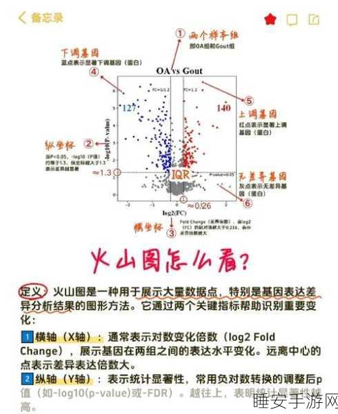 DNF火山地图焕新颜,深度解析火山补丁特色与实战体验