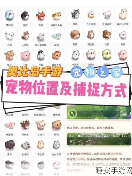 奥比岛手游，揭秘宠物笛子购买渠道，探索宠物养成新乐趣！