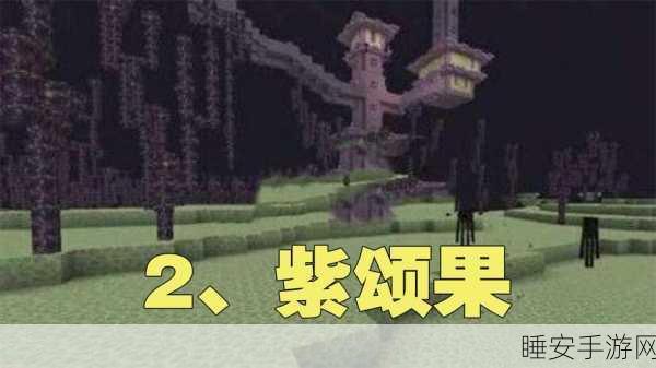 紫颂果的奇幻之旅,解锁我的世界中的多重宝藏