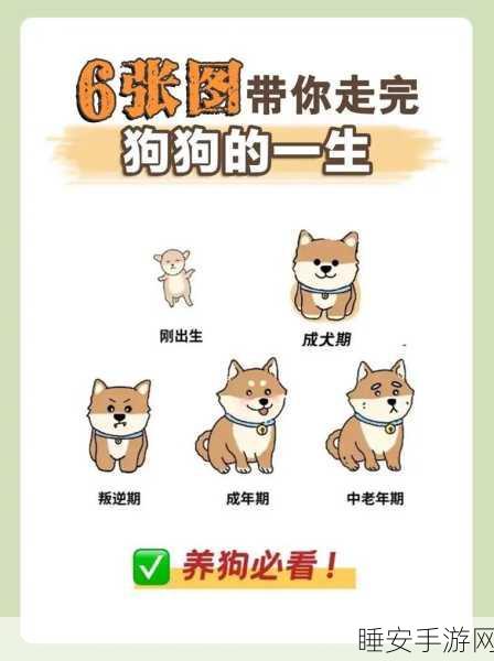 狗狗人生模拟器,自定义爱犬命运,探索多样生活轨迹