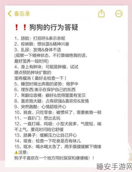 狗狗人生模拟器,自定义爱犬命运,探索多样生活轨迹
