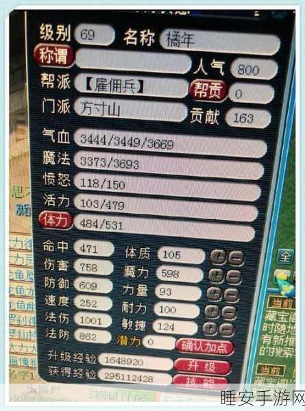 梦幻西游69级方寸山速度达标攻略,竞技场上的速度与激情