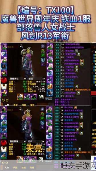 魔兽世界PVP荣誉系统深度解析,军衔晋升全攻略