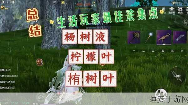 妄想山海,顶尖采集策略揭秘,助你资源满载而归