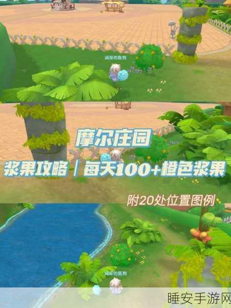 摩尔庄园浆果丛林激流勇进全攻略,解锁刺激与奖励的秘籍