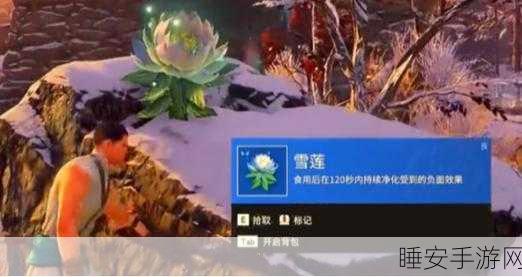 永劫无间雪莲奇效揭秘，增强战力与恢复神器的全面解析