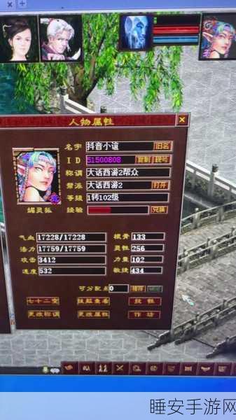 大话西游2敏冰男人套装选择指南,打造极致输出与控制