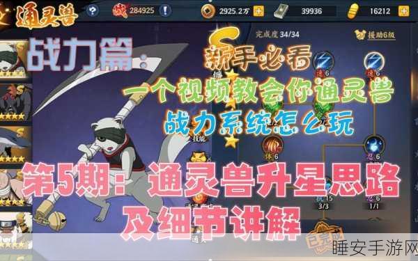 火影OL深度攻略,火主通灵兽搭配秘籍,解锁战场制胜新姿势