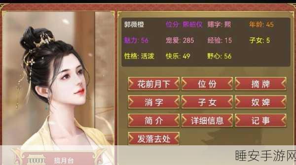 皇帝成长计划2深度攻略,打造梦幻妃子宫殿,尽享帝王之乐