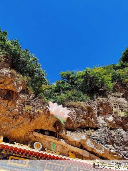 妄想山海,揭秘禅树寻觅之旅,解锁隐世禅意秘境