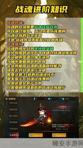 2025年热门超级地城之光战魂全解析，武魂排行榜最新一览