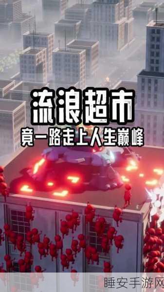 流浪超市新手攻略,深度解析玩法技巧与隐藏爆料,助你称霸赛场!