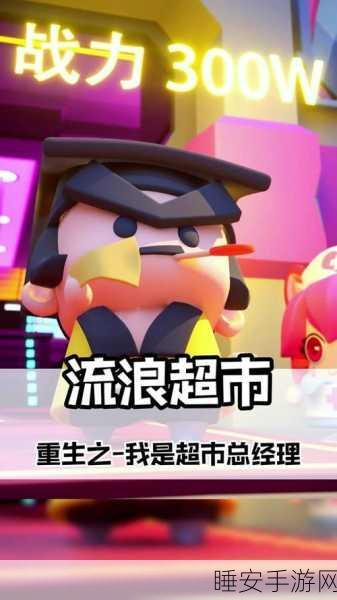 流浪超市新手攻略,深度解析玩法技巧与隐藏爆料,助你称霸赛场!