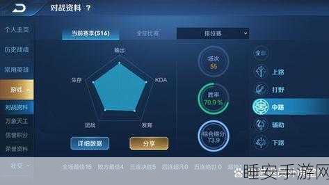 王者荣耀段位全解析,揭秘你的荣耀征途与竞技细节